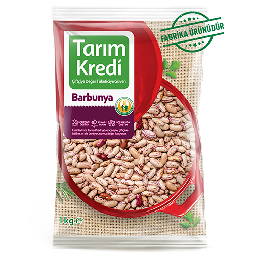 TK BARBUNYA 9 MM