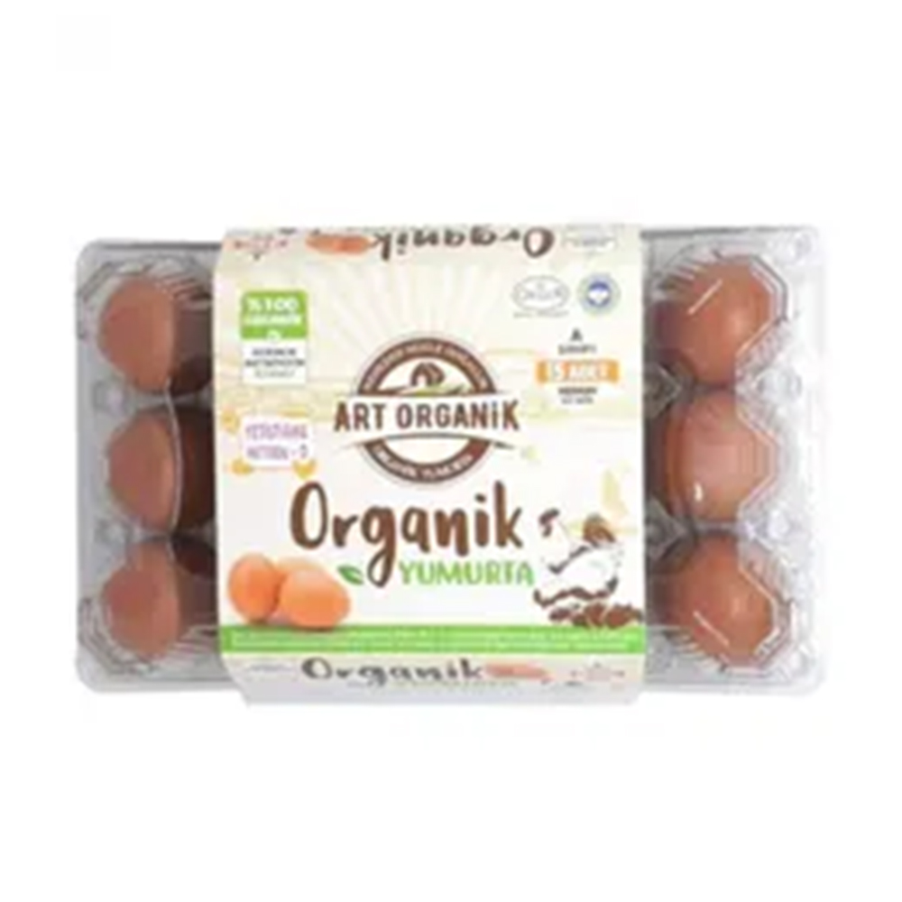 ARTORGANİK YUMURTA 15Lİ