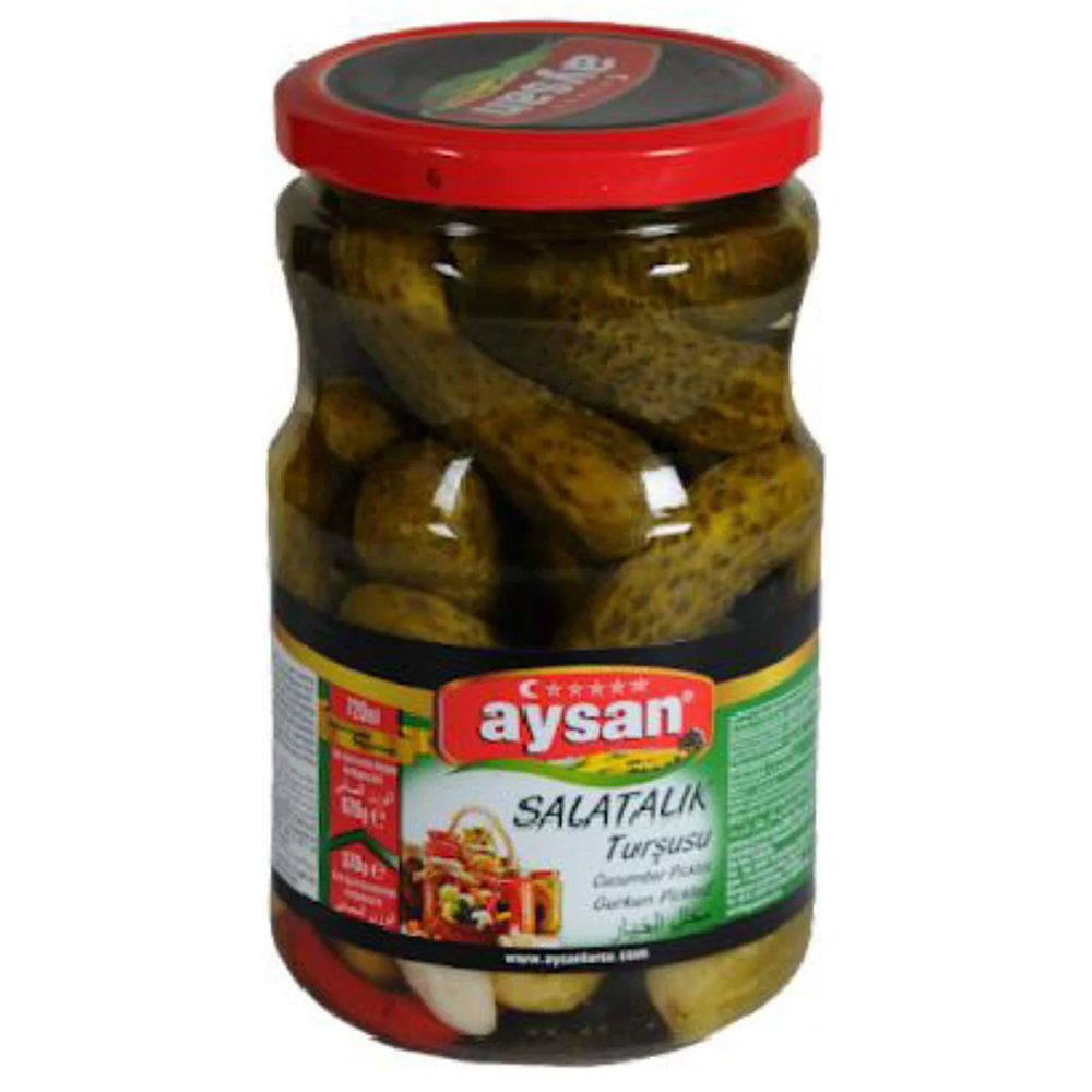 AYSAN SALATALIK TURSU NO:2