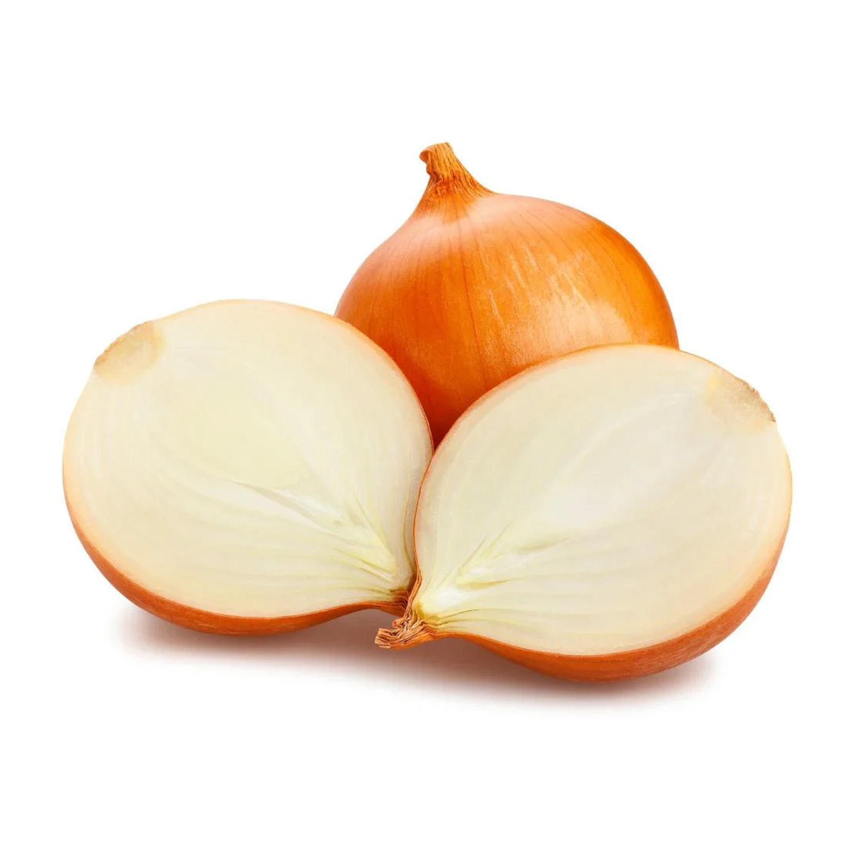 KURU SOĞAN