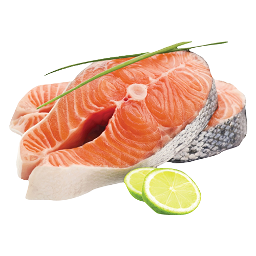 KUZEY BALIK DONDURULMUŞ SOMON STEAK DİLİM